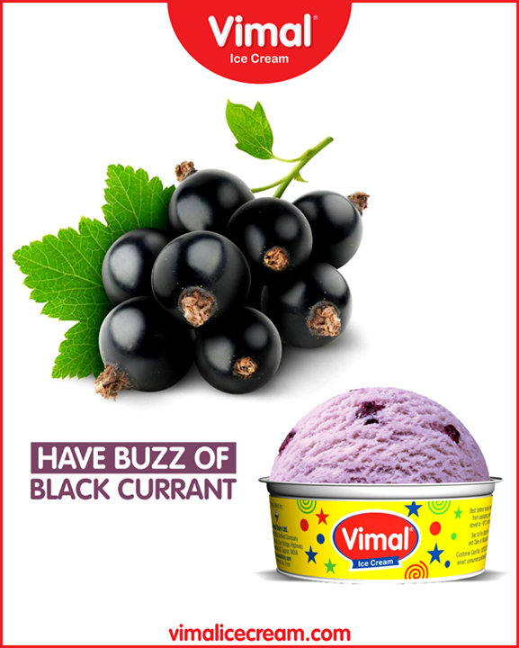 Pure delicious ice cream with a buzz of black currant from Vimal Ice Cream.

#IceCreamLovers #Vimal #IceCream #VimalIceCream #Ahmedabad