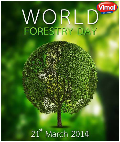 Nature is an infinite sphere of which the center is everywhere and the circumference nowhere. 

#WorldForestDay