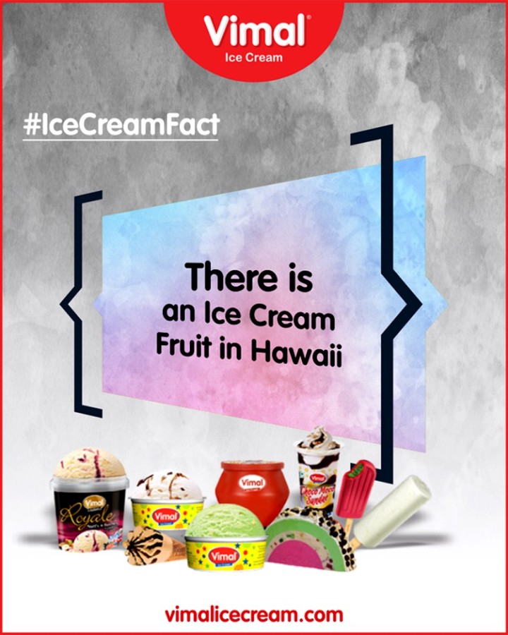 That’s right. There’s a Hawaiian fruit that tastes exactly like vanilla ice cream. It’s called the Inga Feuillei, but locals call it the ice cream bean. It grows on perennial trees in hot climates, and it is enjoyed in many different ways by locals.

#IceCreamFact #IcecreamTime #IceCreamLovers #FrostyLips #Vimal #IceCream #VimalIceCream #Ahmedabad #Gujarat #India