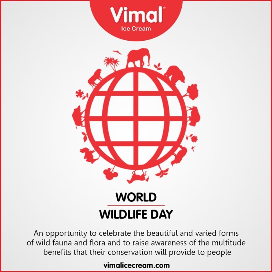 An opportunity to celebrate the beautiful and varied forms of wild fauna and flora and to raise awareness of the multitude benefits that their conservation will provide to people.

#WorldWildlifeDay #VimalIceCream #Icecream #IcecreamLovers #LoveForIcecream #IcecreamIsBae #Ahmedabad #Gujarat #India