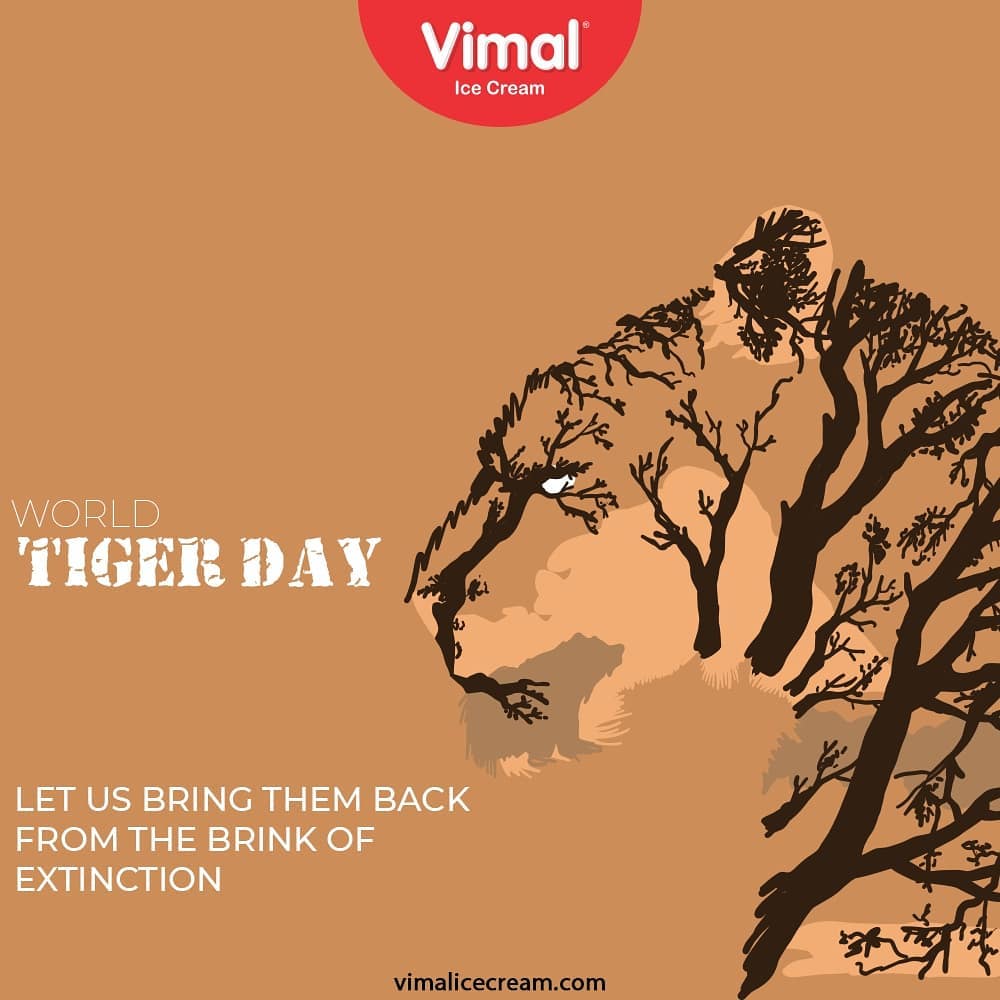 Let us bring them back from the brink of extinction

#InternationalTigerDay #InternationalTigerDay2020 #TigerDay2020 #SaveTiger #Vimal #IceCream #VimalIceCream #Ahmedabad