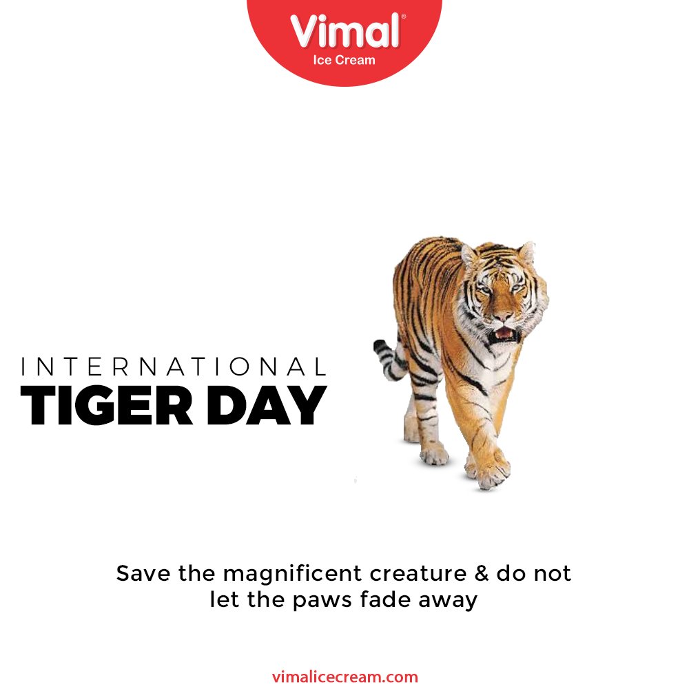 Save the magnificent creature & do not let the paws fade away

#InternationalTigerDay #InternationalTigerDay2021 #TigerDay #SaveTheTiger #Tigers #VimalIceCream #IceCreamLovers #Vimal #IceCream #Ahmedabad https://t.co/ncA0S4wfUN
